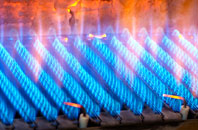 Lasborough gas fired boilers